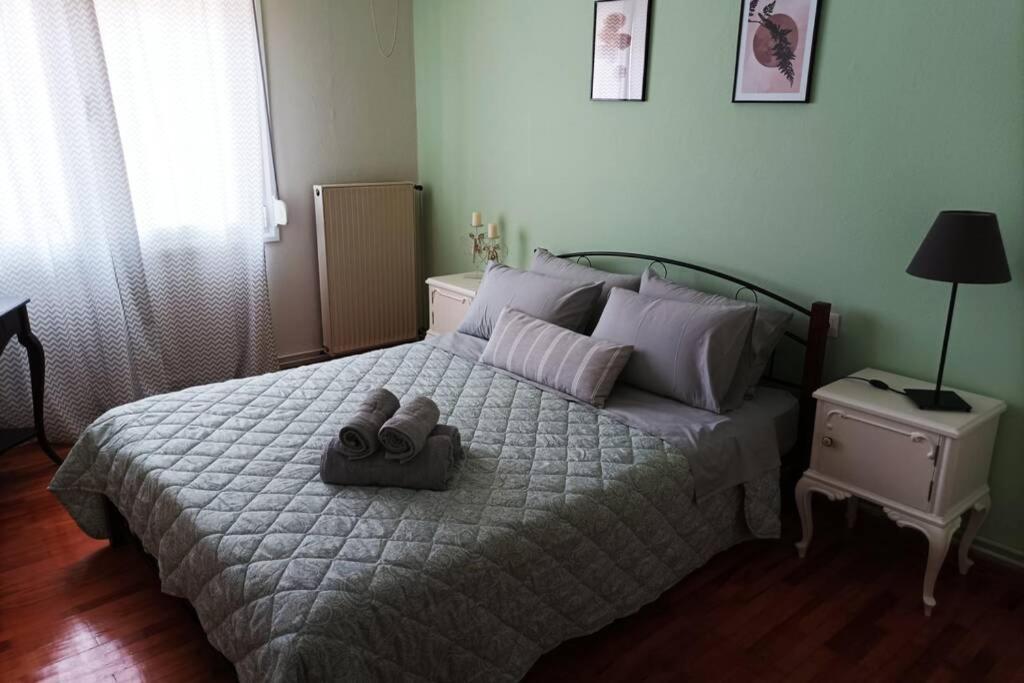 Aigli'S Urban Lodge โวโลส ภายนอก รูปภาพ